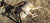 How-To-Get-Started-Predator-Hunting Buck Gardner Calls