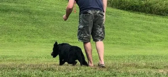 Summer-Dog-Training Buck Gardner Calls