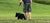 Summer-Dog-Training Buck Gardner Calls